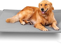 Bestvida verhoogd hondenbed (medium) - afbeelding 1 van  6