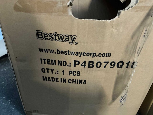 Bestway lay-z-spa spa filter - afbeelding 3 van  4