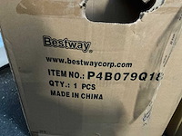 Bestway lay-z-spa spa filter - afbeelding 3 van  4