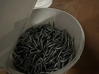 Betafence emmers krammen (15x) - afbeelding 2 van  3