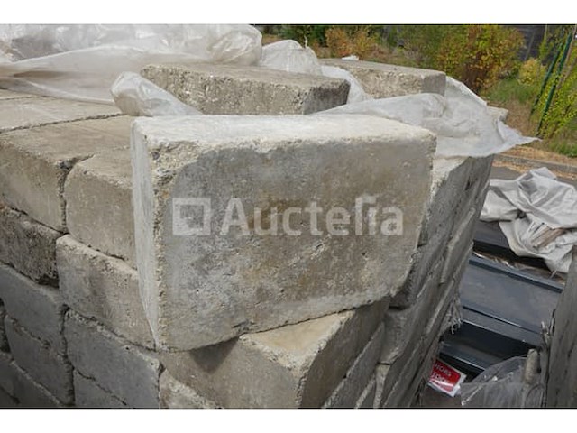 Betonnen bestrating 21,75x14,5x8 cm - afbeelding 4 van  6