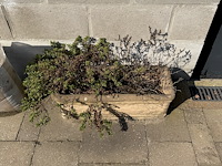 Betonnen plantenbakken - afbeelding 2 van  4