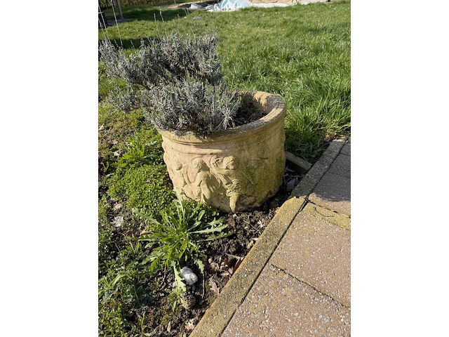 Betonnen plantenbakken - afbeelding 3 van  4