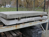 Betonnen platen europlaat - afbeelding 3 van  5