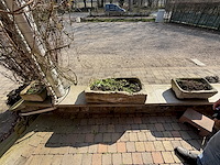 Betonnen troggen voor planten - afbeelding 1 van  1