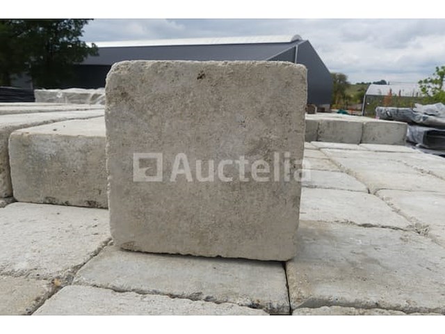 Betontegels 14,5x14,5x8 cm - afbeelding 7 van  7