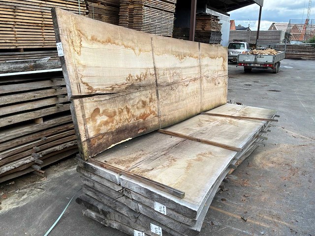 Beuk boomplanken (2x) - afbeelding 1 van  8