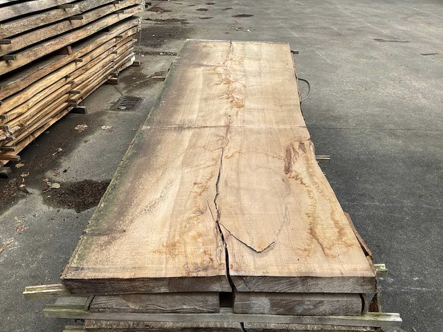 Beuk boomplanken (3x) - afbeelding 3 van  5