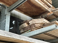Beuken boomstambladen (14x) - afbeelding 2 van  4