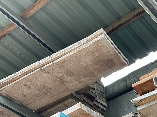 Beuken boomstambladen (14x) - afbeelding 4 van  4