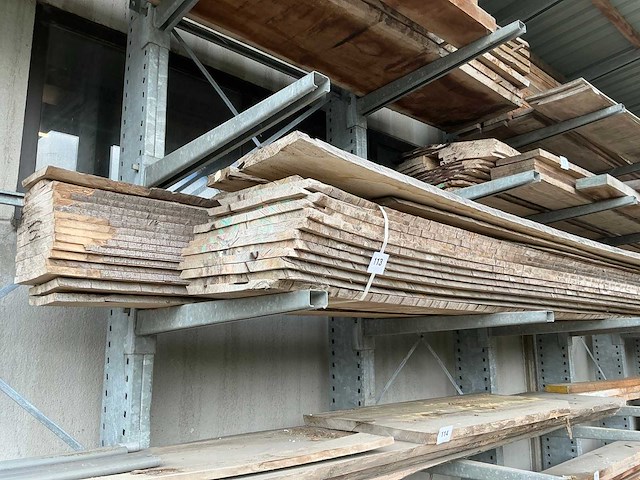 Beuken boomstambladen (30x) - afbeelding 1 van  6