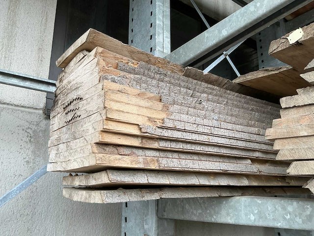 Beuken boomstambladen (30x) - afbeelding 2 van  6