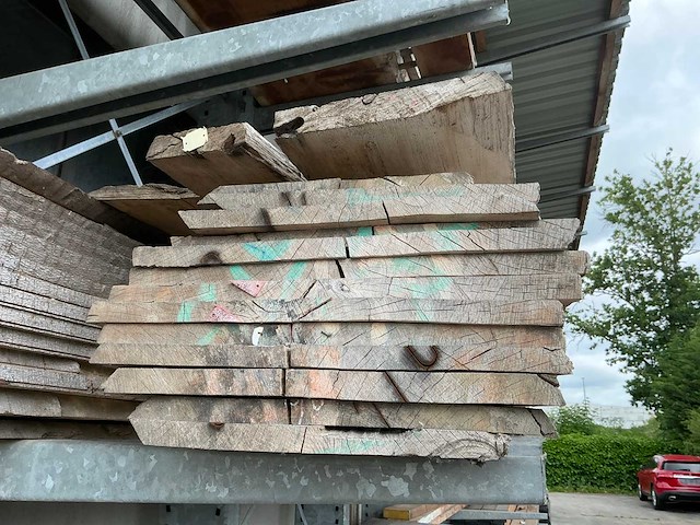 Beuken boomstambladen (30x) - afbeelding 3 van  6