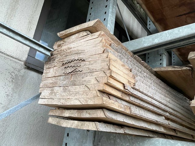 Beuken boomstambladen (30x) - afbeelding 4 van  6