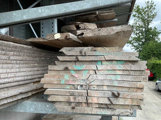 Beuken boomstambladen (30x) - afbeelding 5 van  6