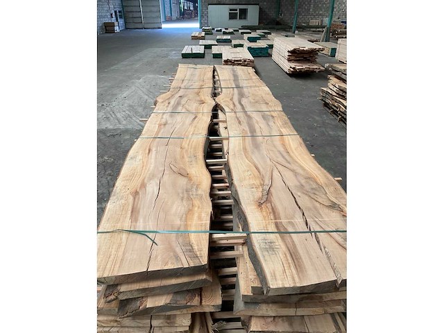 Beuken stamdelen 52 mm ca. 4 m³ - afbeelding 5 van  5