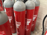 Bgs co2 brandblusser (8x) - afbeelding 2 van  2