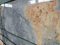 Bien atlantik gepolijst 60x120 cm tegel 64,8 m² - afbeelding 5 van  10