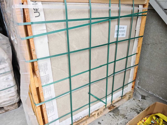 Bien gordion bone mat vloertegel 100x100 cm 66 m² - afbeelding 5 van  8
