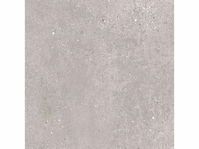 Bien void grijs mat 60x120 cm tegel 64,8 m² - afbeelding 2 van  4