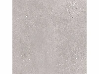 Bien void grijs mat 60x120 cm tegel 64,8 m² - afbeelding 2 van  4