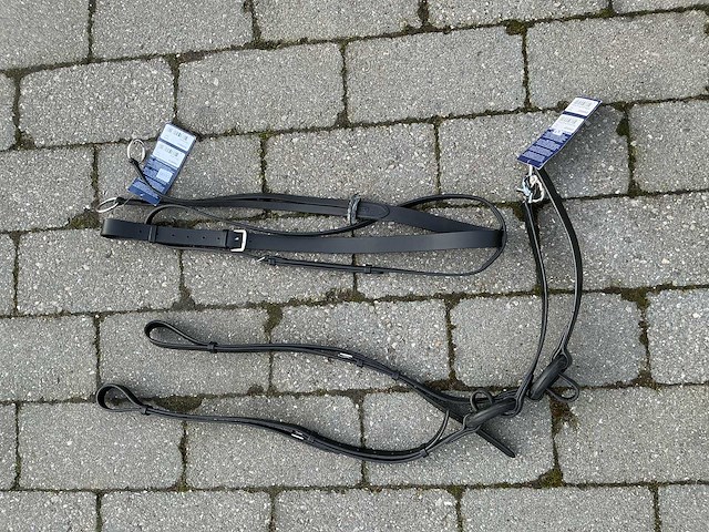 Bijzetteugels ronde ringen + martingaal paarden - afbeelding 1 van  4