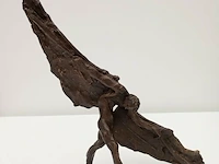 Bijzondere verzameling kunst - heusden-zolder