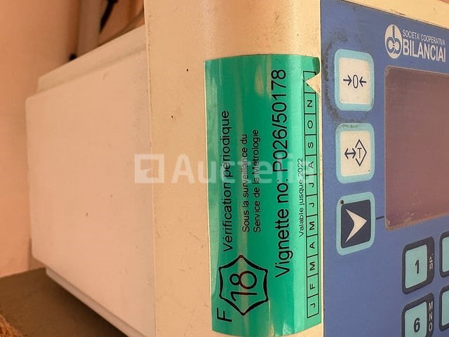 Bilanciai weegbrug - afbeelding 5 van  17