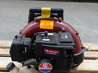 Bladblazer maruyama - afbeelding 1 van  5