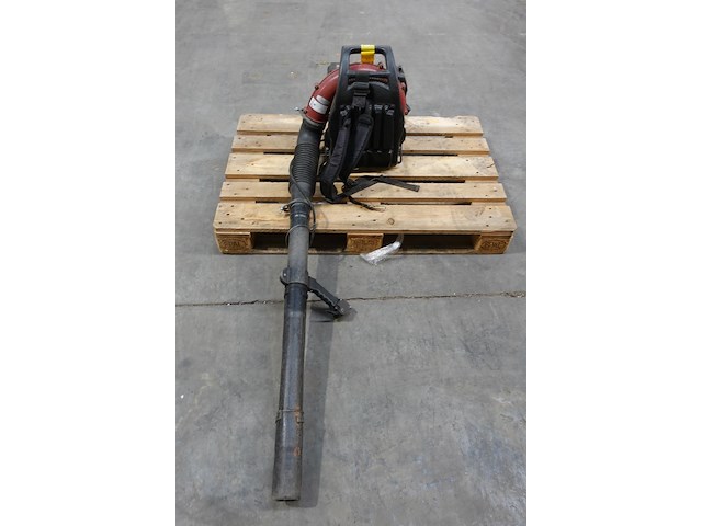 Bladblazer maruyama - afbeelding 2 van  5