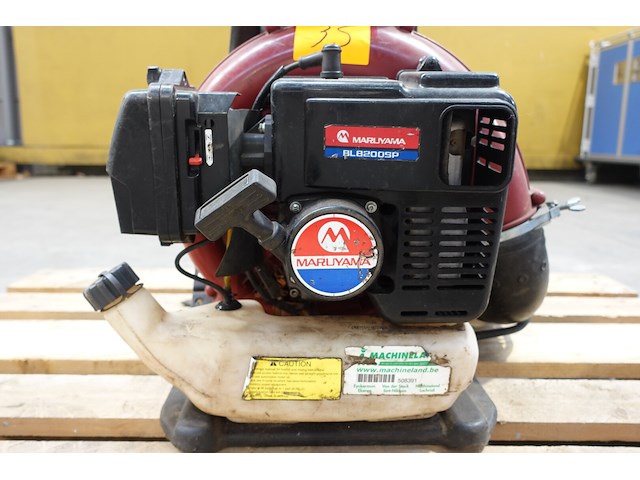 Bladblazer maruyama - afbeelding 4 van  5