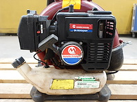 Bladblazer maruyama - afbeelding 4 van  5