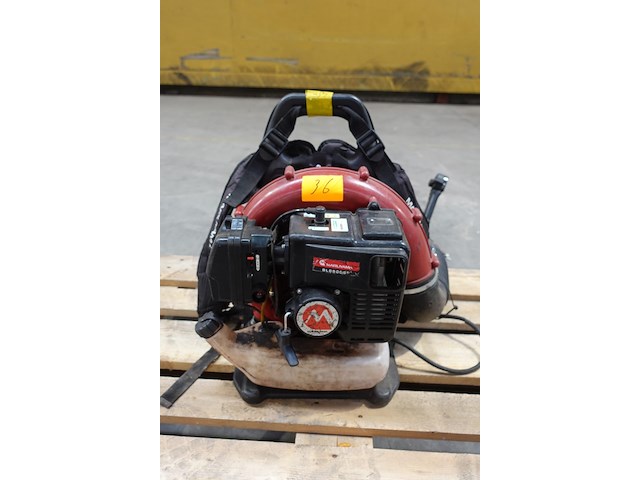 Bladblazer maruyama - afbeelding 1 van  5