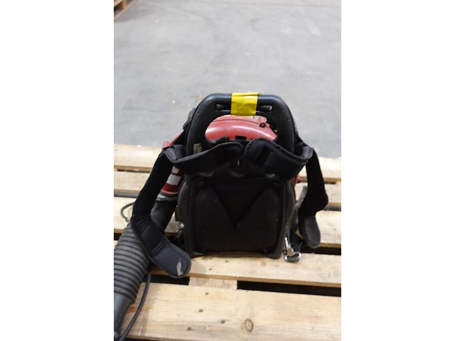 Bladblazer maruyama - afbeelding 3 van  5