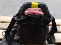 Bladblazer maruyama - afbeelding 3 van  5