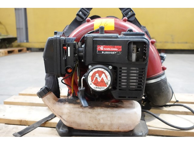 Bladblazer maruyama - afbeelding 4 van  5