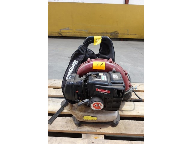 Bladblazer maruyama - afbeelding 1 van  5