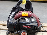 Bladblazer maruyama - afbeelding 1 van  5