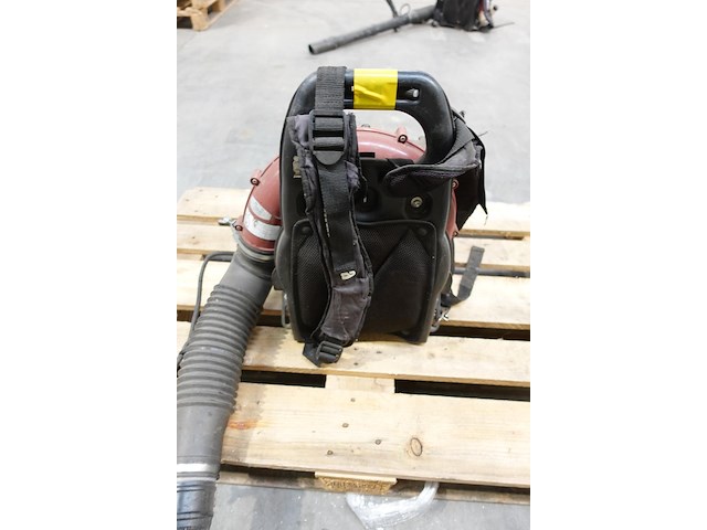 Bladblazer maruyama - afbeelding 3 van  5