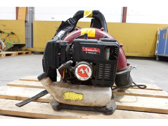 Bladblazer maruyama - afbeelding 4 van  5