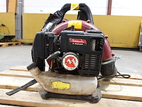 Bladblazer maruyama - afbeelding 4 van  5