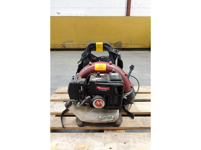 Bladblazer maruyama - afbeelding 1 van  5