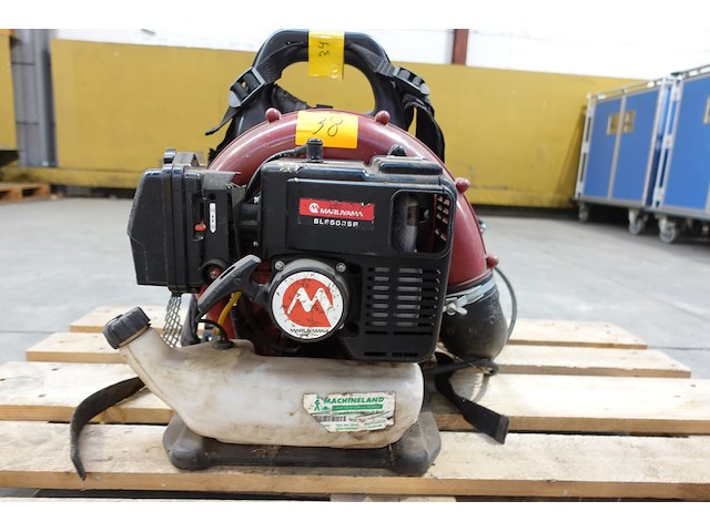 Bladblazer maruyama - afbeelding 4 van  5