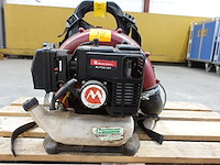 Bladblazer maruyama - afbeelding 4 van  5