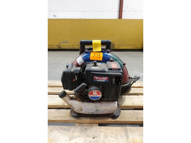 Bladblazer maruyama - afbeelding 1 van  5