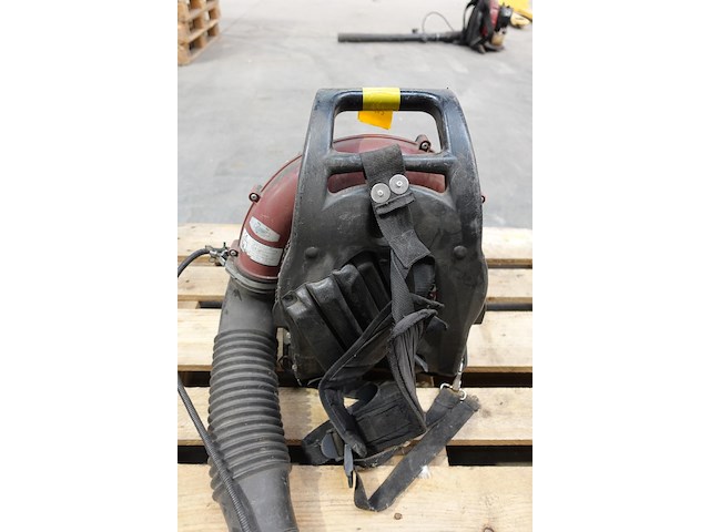 Bladblazer maruyama - afbeelding 3 van  5