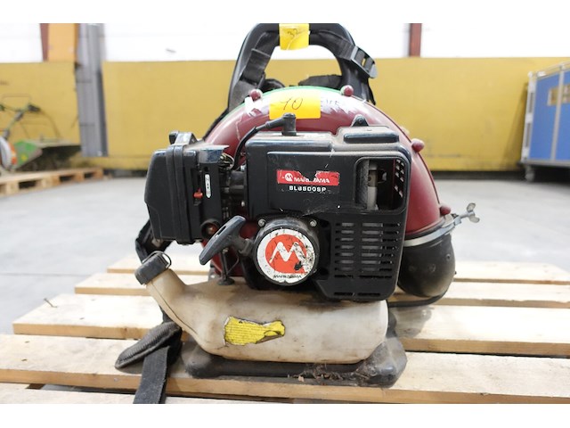 Bladblazer maruyama - afbeelding 4 van  5