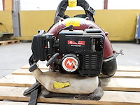 Bladblazer maruyama - afbeelding 4 van  5