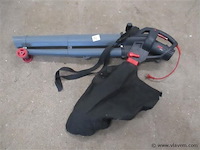 Bladblazer - afbeelding 1 van  2