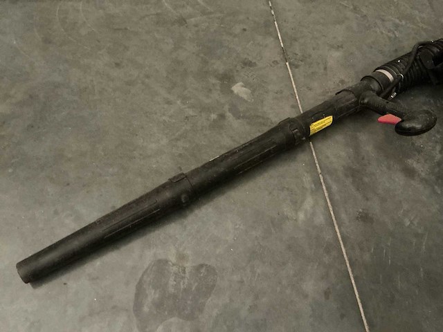 Bladblazer - afbeelding 5 van  5